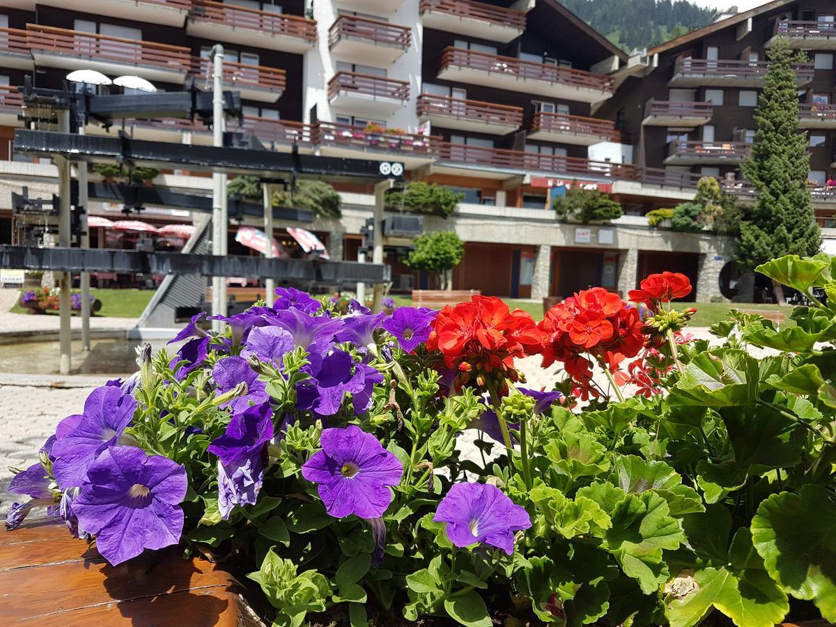 Holidays Groupes Anzère Extérieur photo
